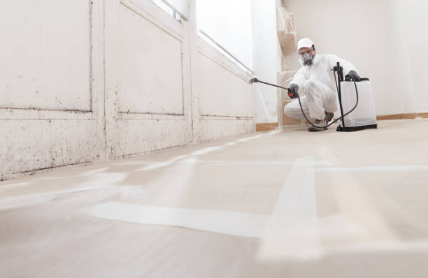 24/7 Emergency Commercial Mold Remediation experts in Billerica, MA