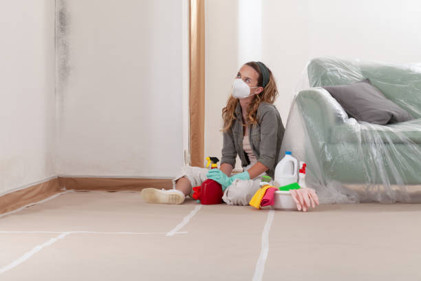 Reliable Commercial Mold Remediation contractor in Billerica, MA by WQB Mold Removal