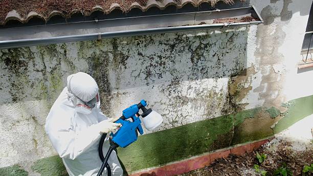 Top rated local Commercial Mold Remediation specialists in Billerica, MA